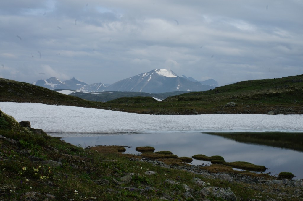 DSC04303.jpg