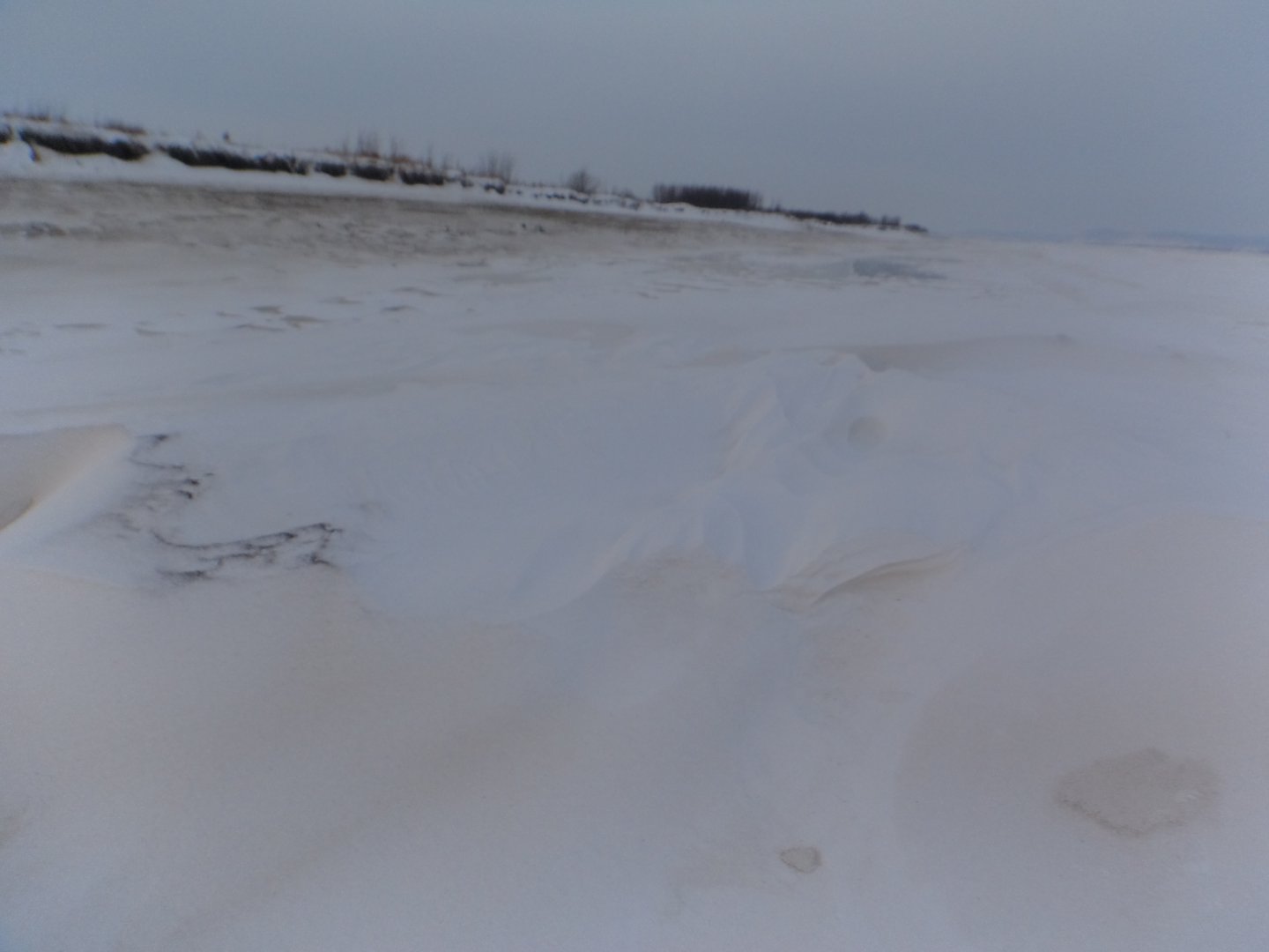 DSC04322.JPG