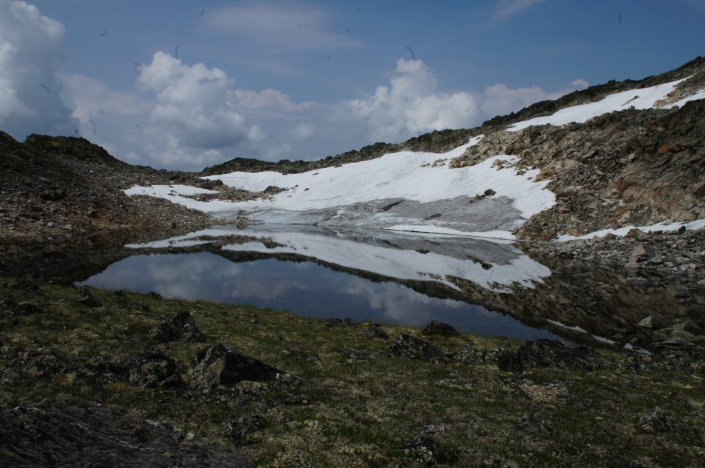 DSC04323.jpg