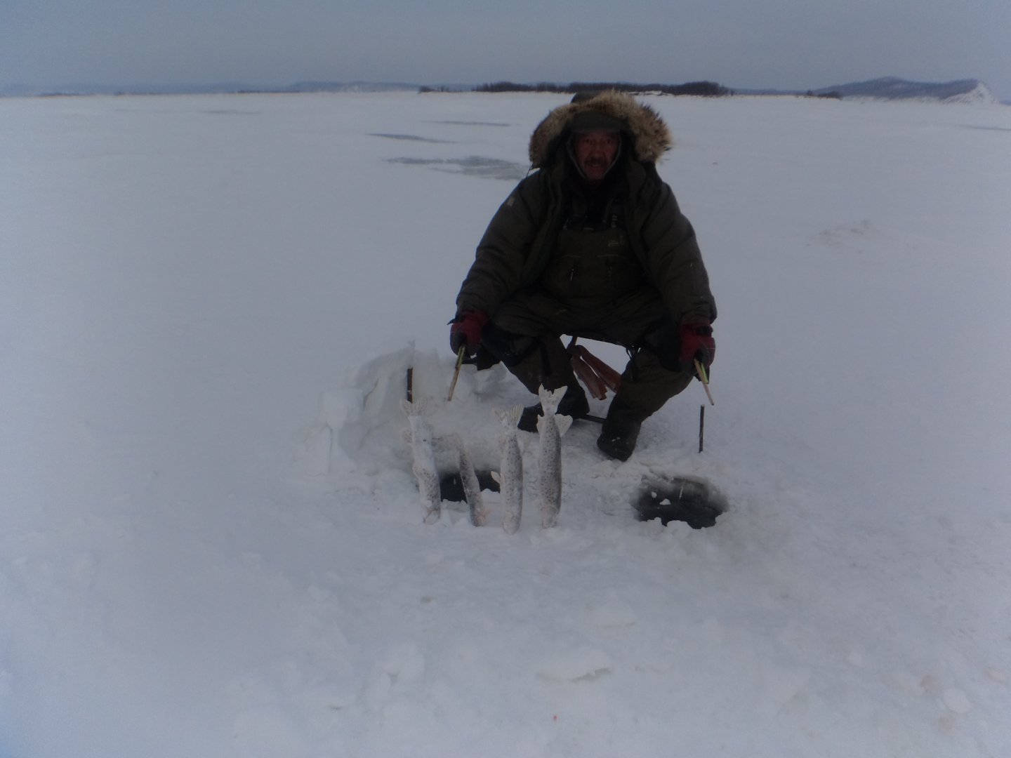 DSC04334.JPG