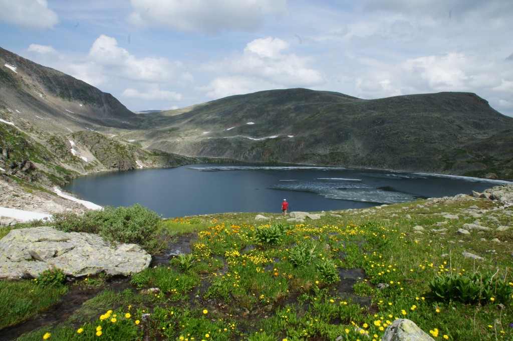 DSC04335.jpg