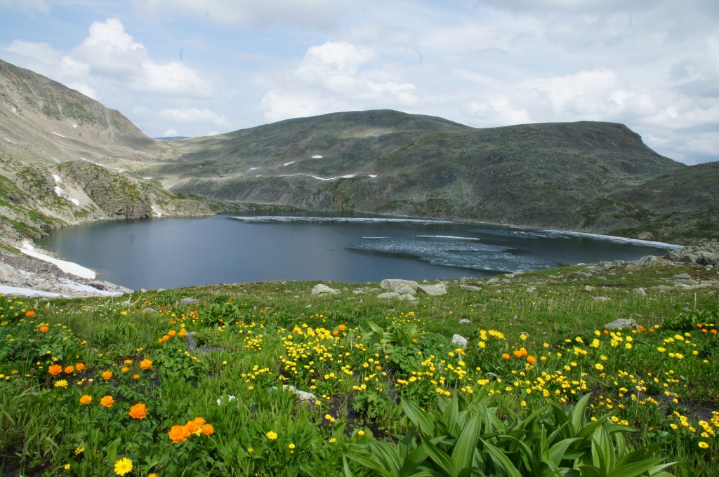 DSC04339.jpg
