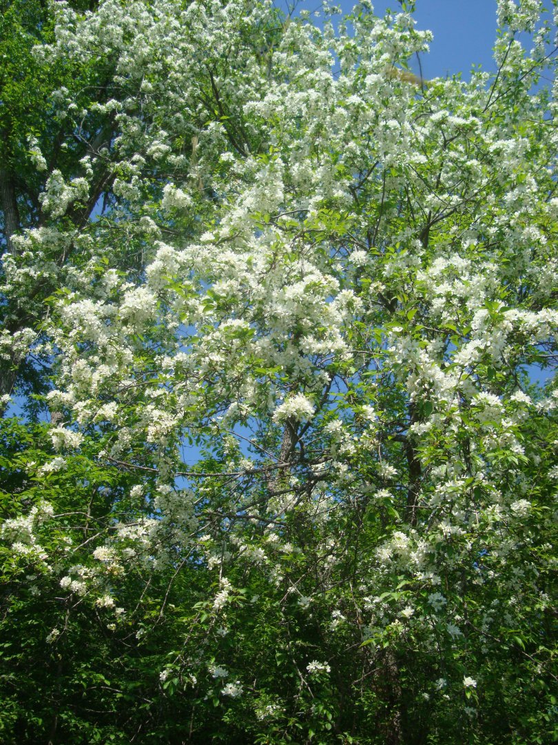 DSC04349.JPG