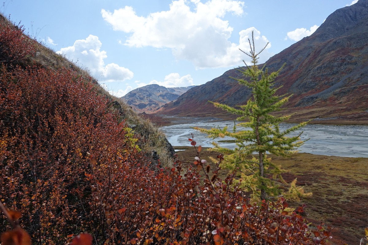 DSC04357.jpg