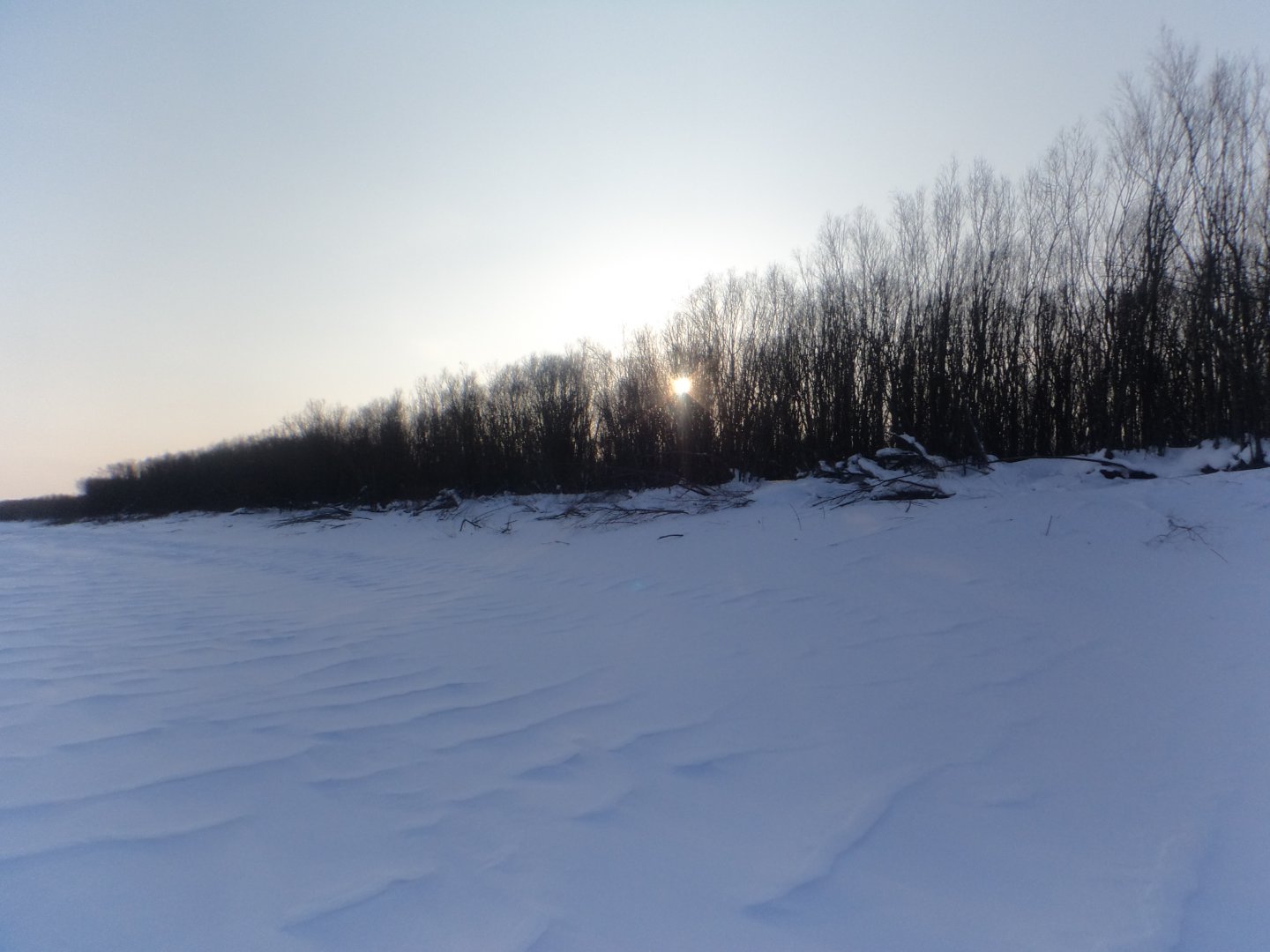 DSC04358.JPG