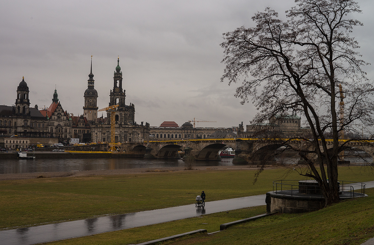 DSC04361.jpg