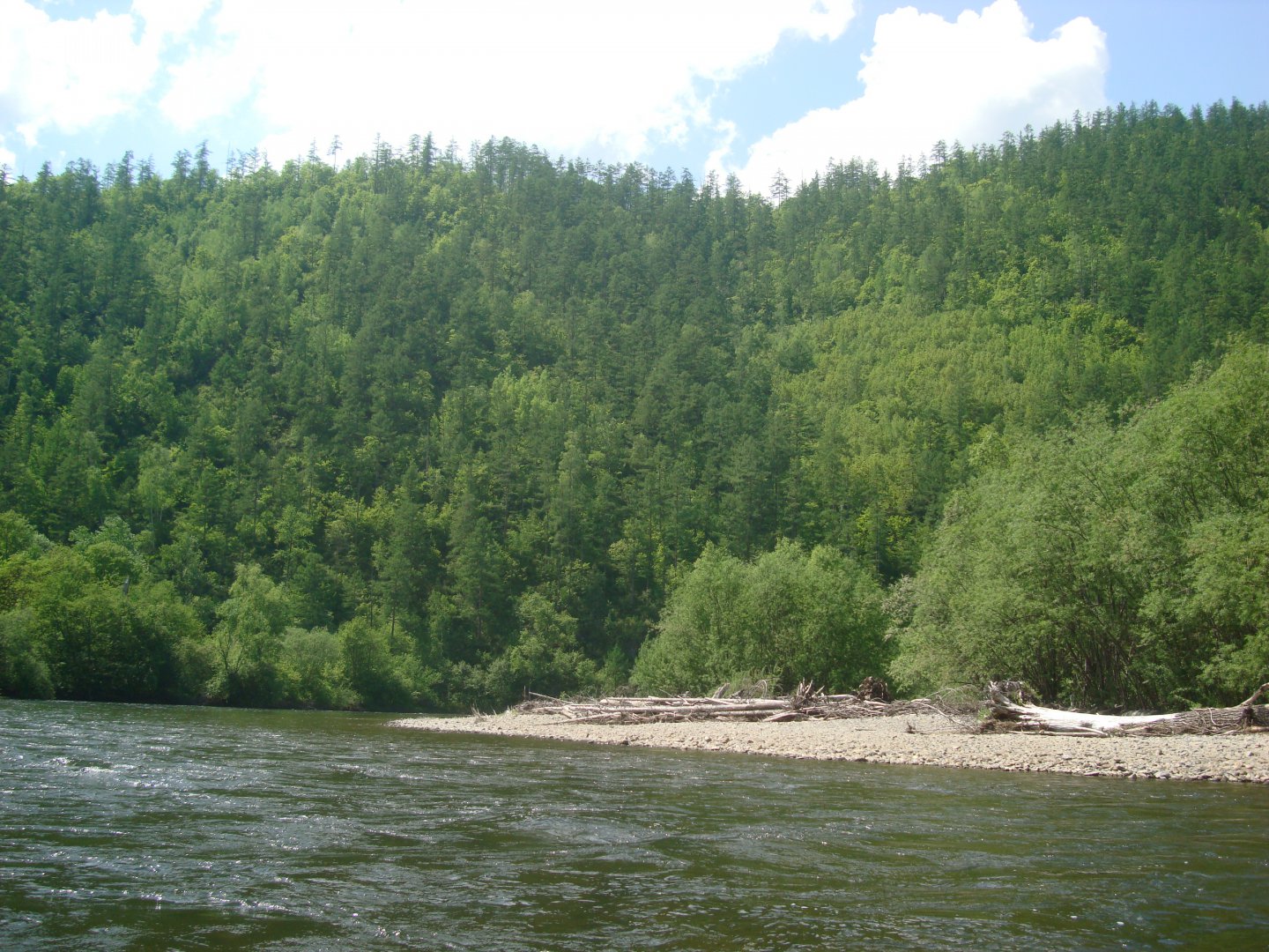 DSC04368.JPG