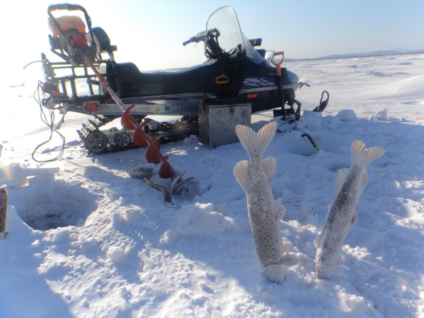 DSC04379.JPG