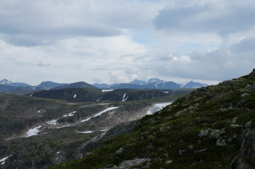 DSC04381.jpg