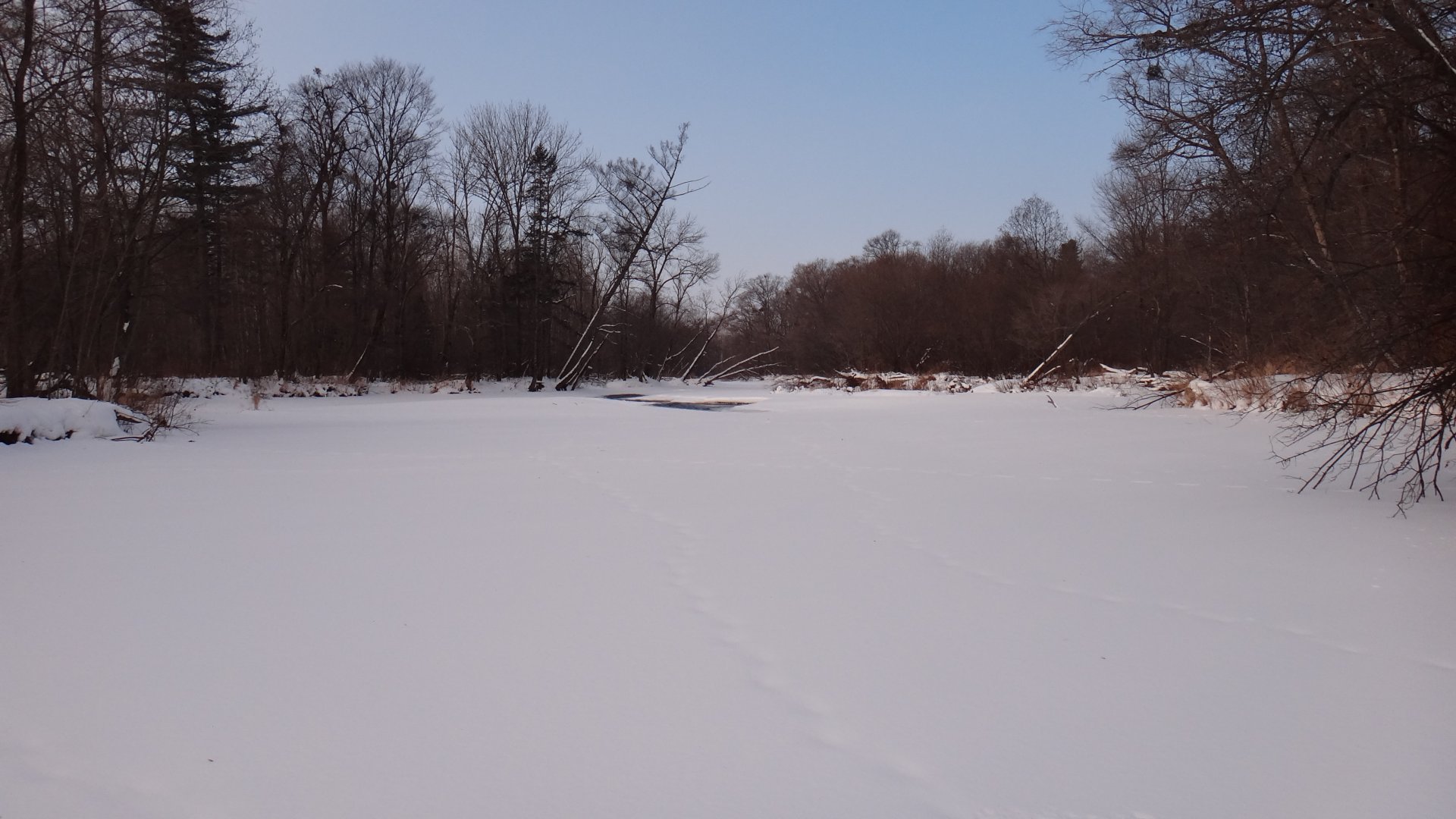 DSC04382.JPG
