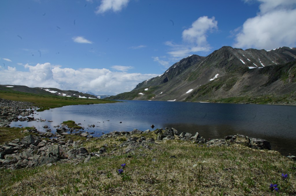 DSC04416.jpg