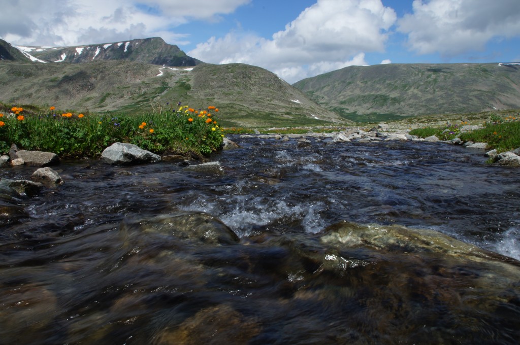 DSC04431.jpg