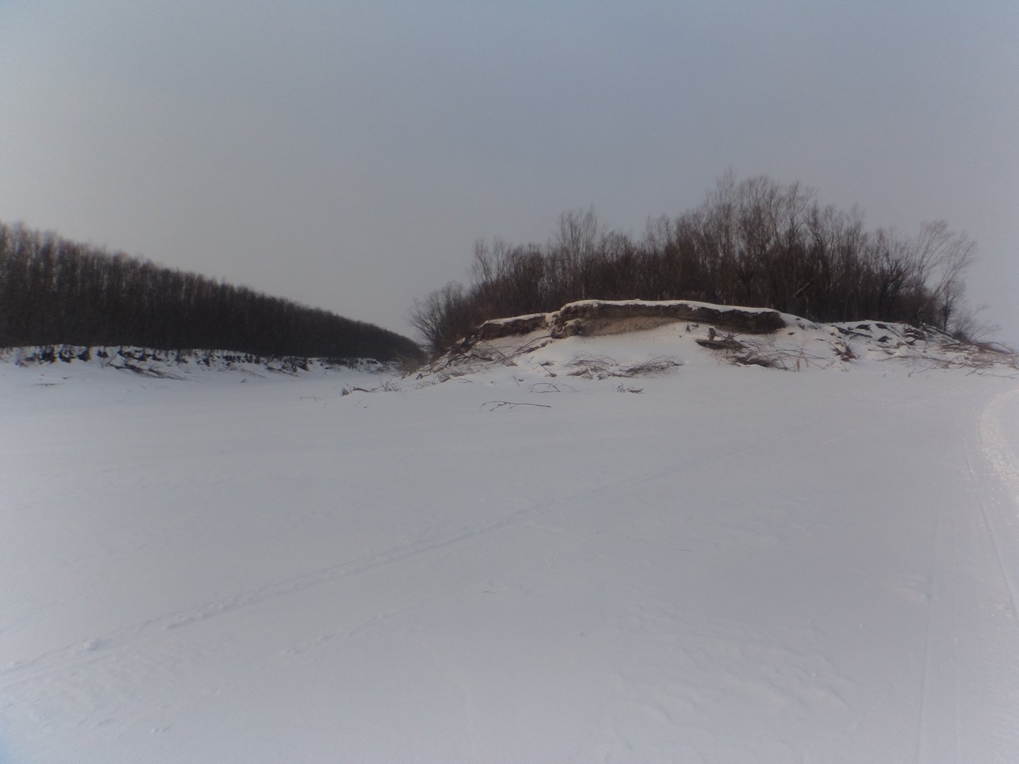 DSC04464.JPG