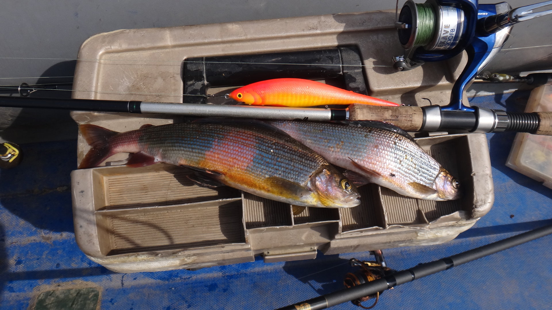 DSC04546.JPG