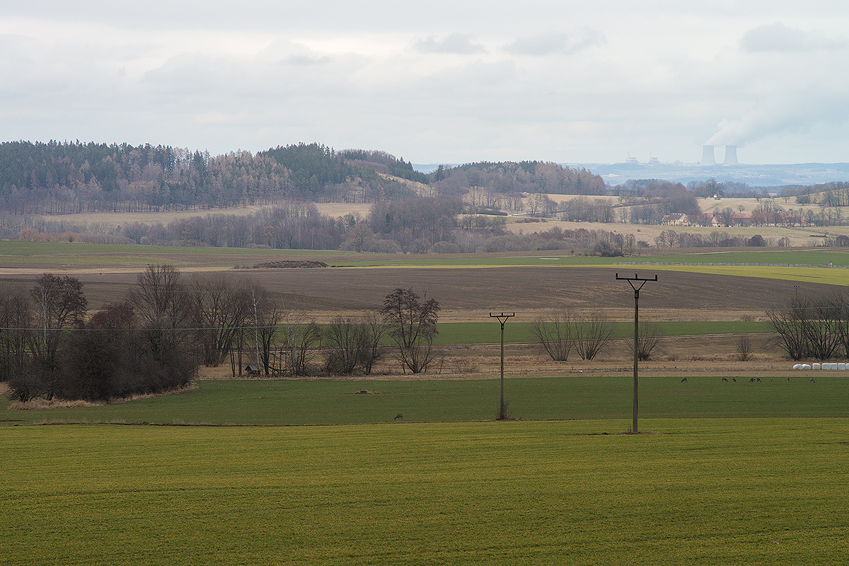 DSC04572.jpg
