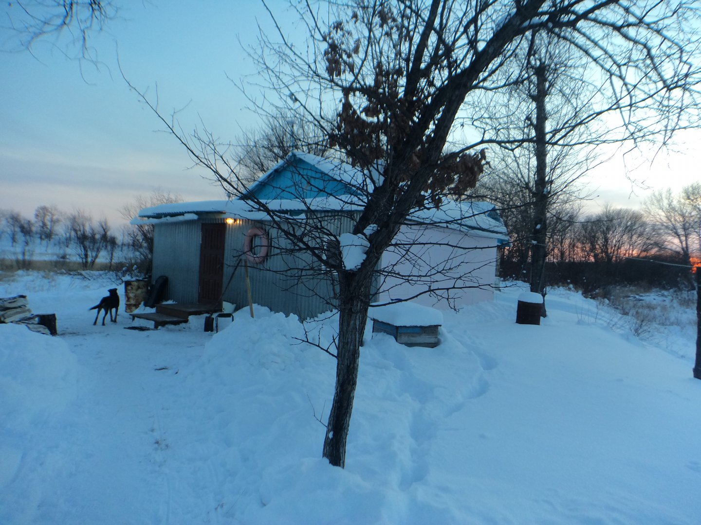 DSC04662.JPG