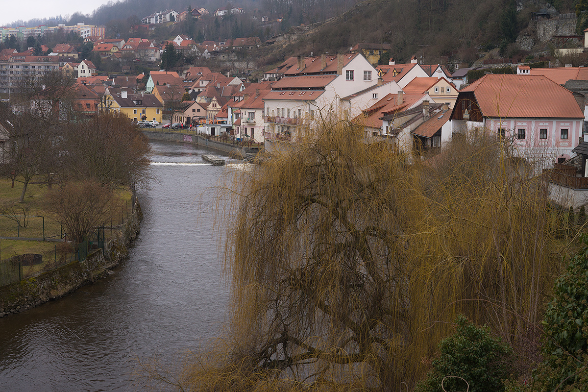 DSC04683.jpg