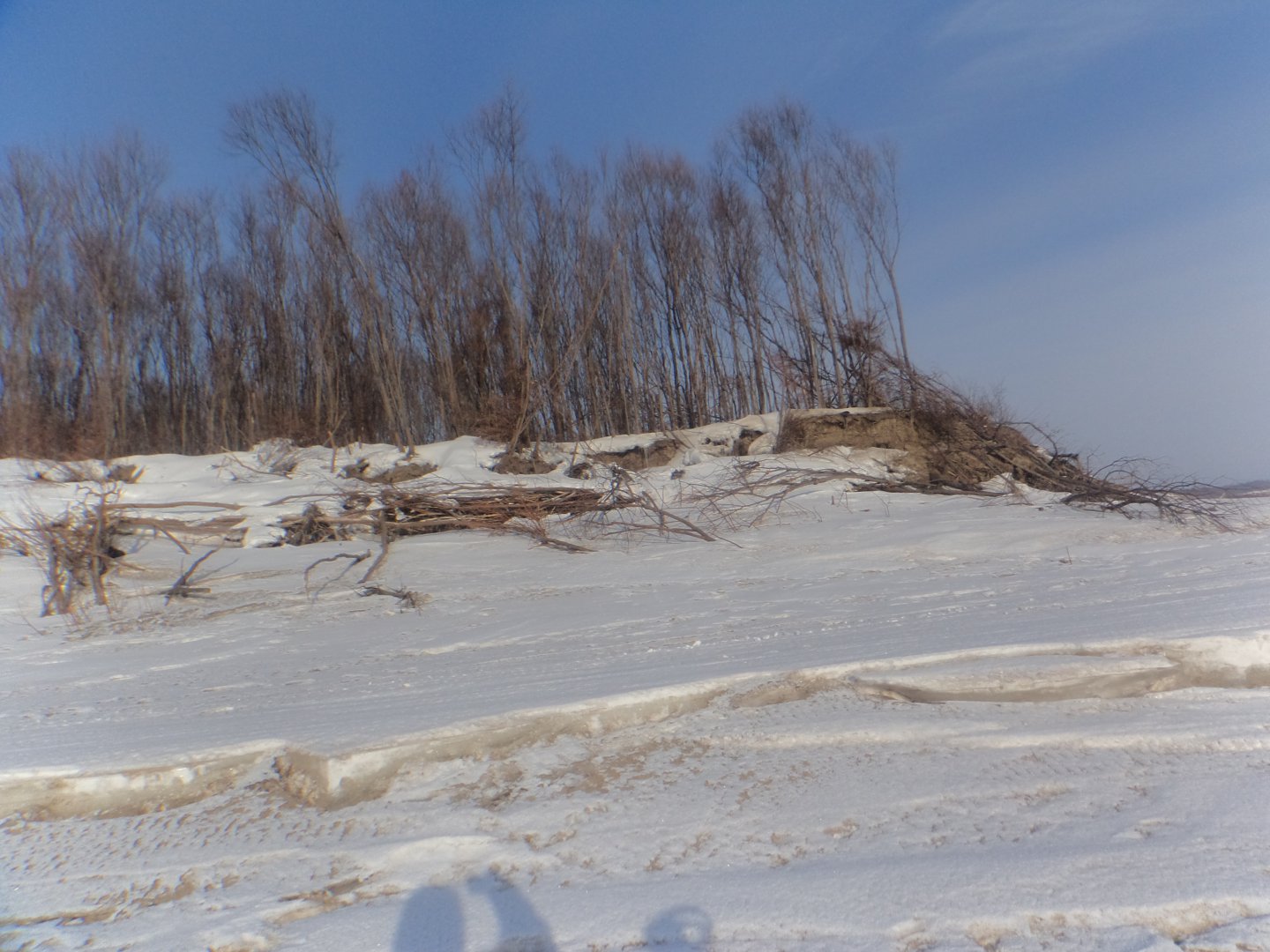 DSC04700.JPG