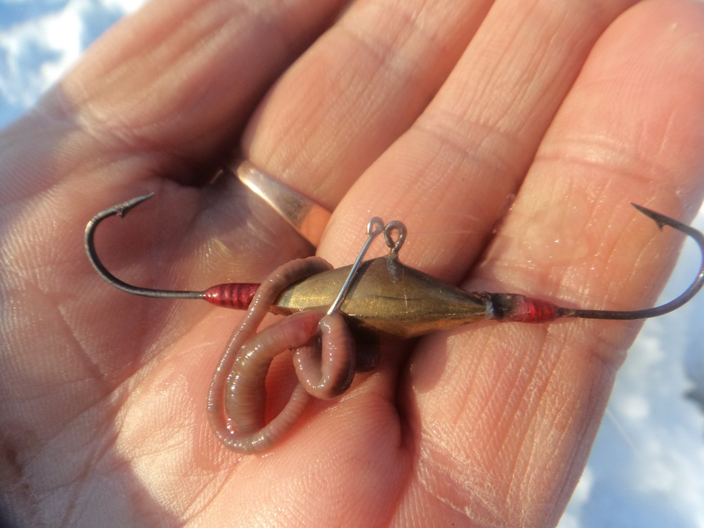 DSC04769.JPG