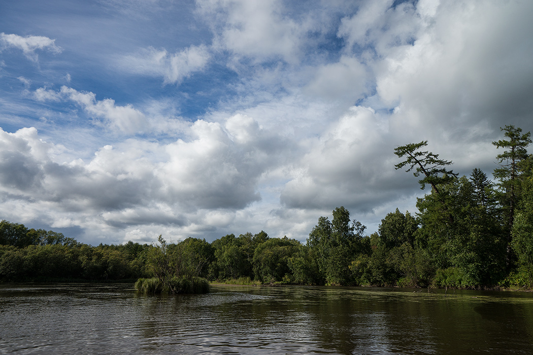 DSC04772.jpg