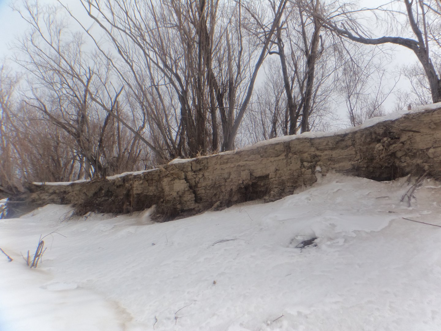 DSC04795.JPG