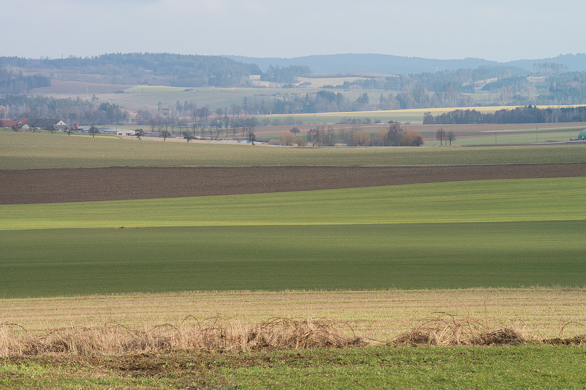 DSC04843.jpg
