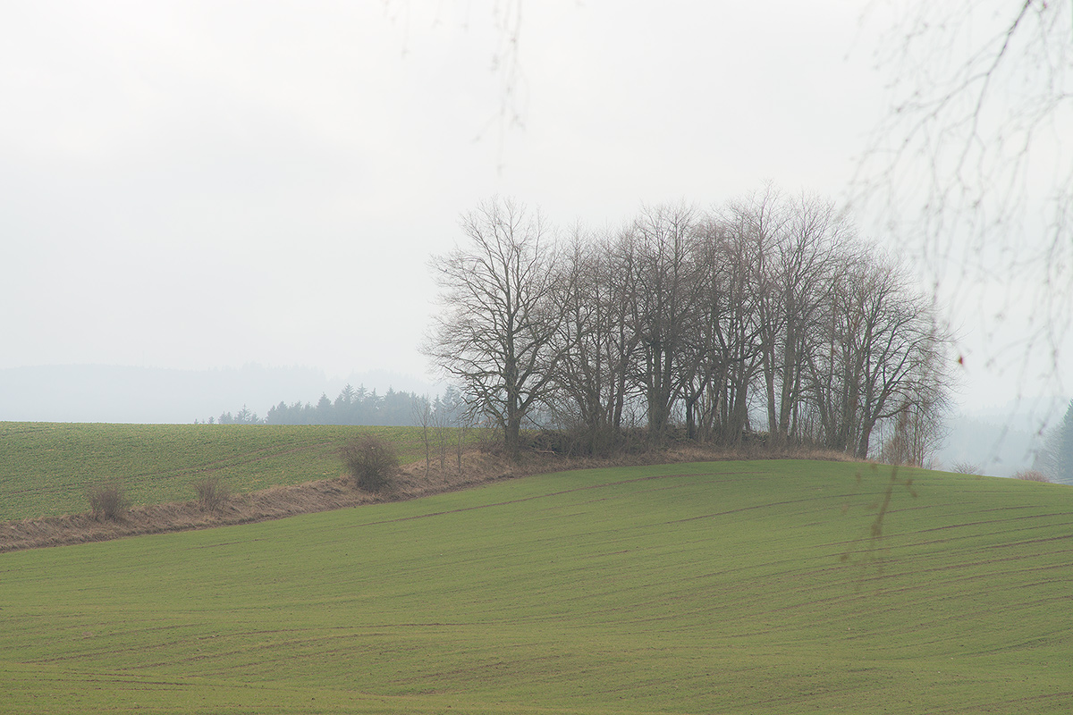 DSC04845.jpg
