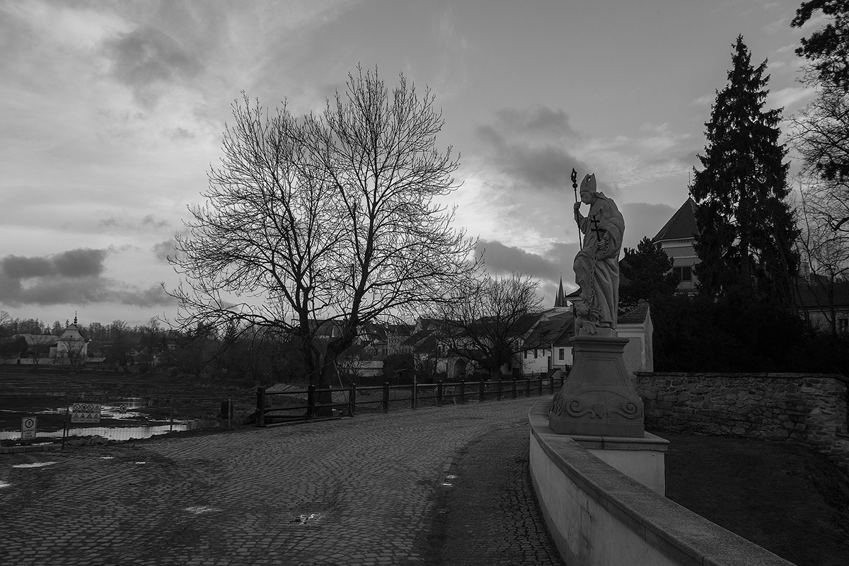 DSC04868.jpg
