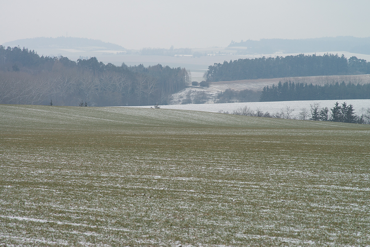 DSC04887.jpg