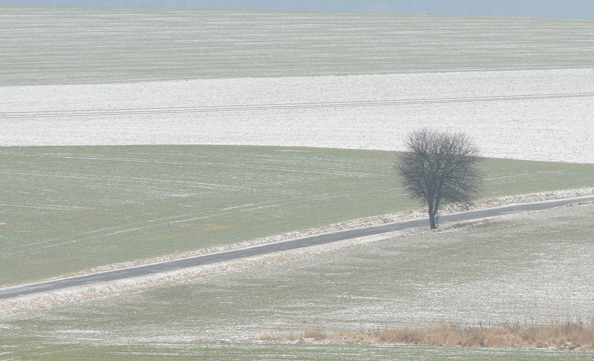 DSC04889.jpg