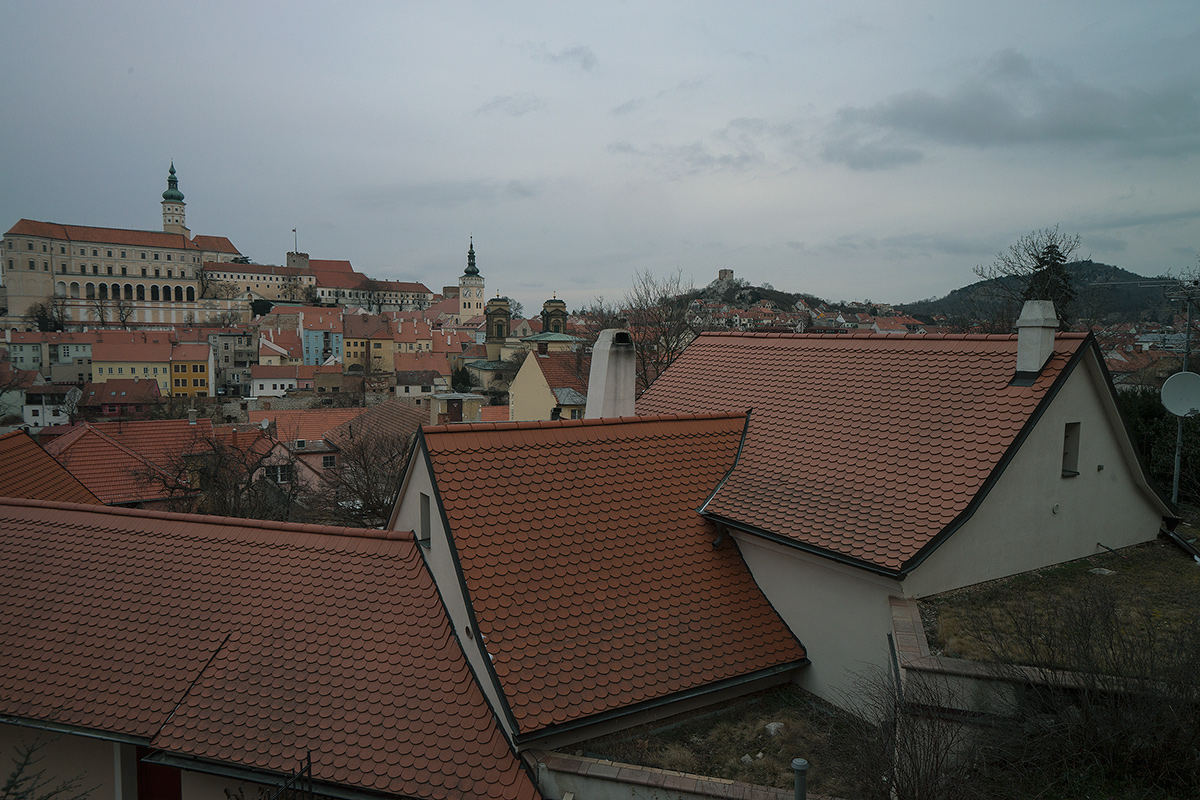 DSC04920.jpg