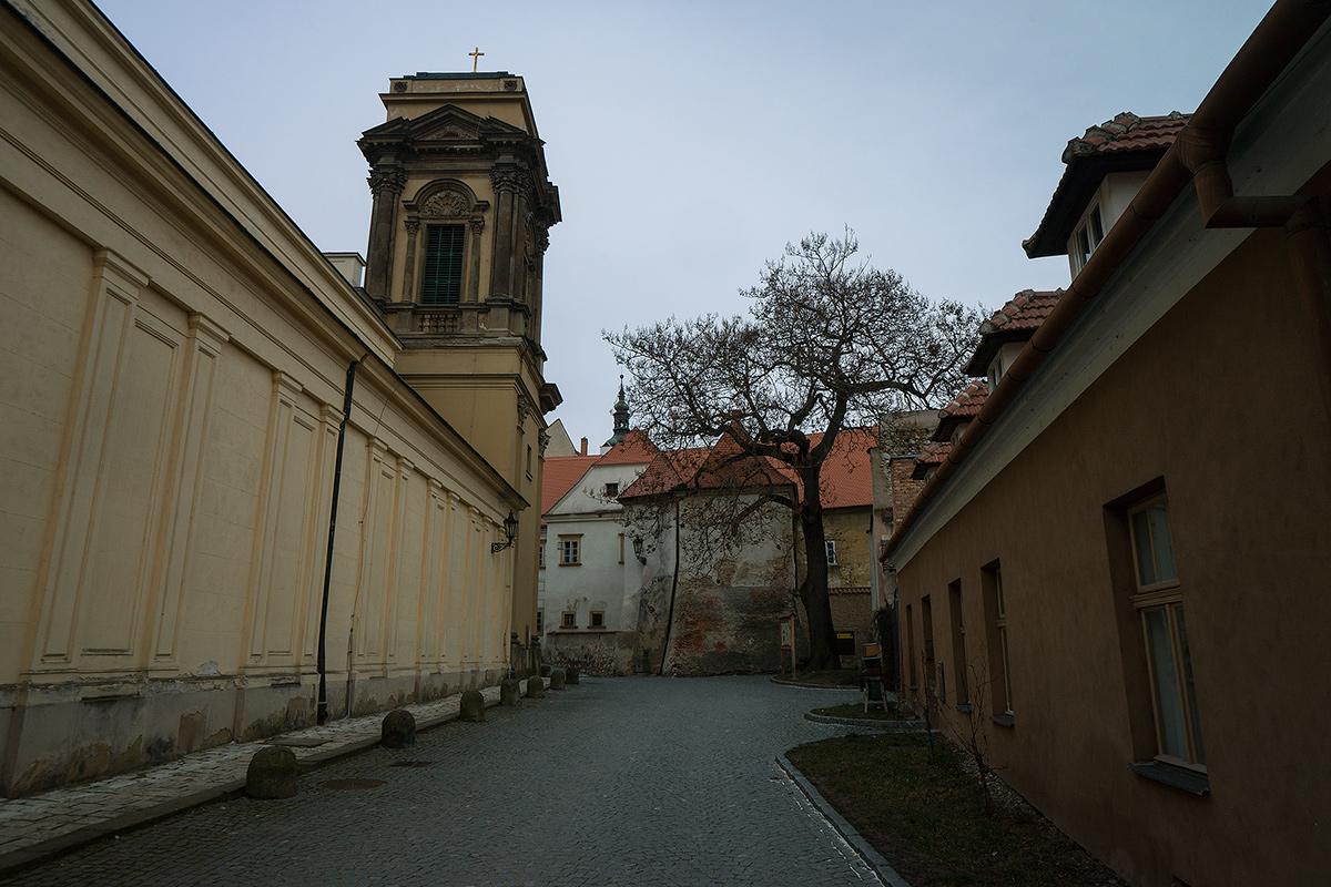 DSC04923.jpg