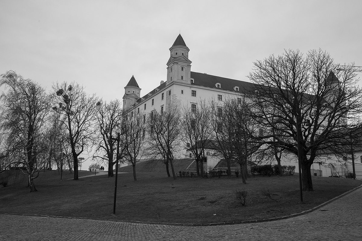 DSC04938.jpg