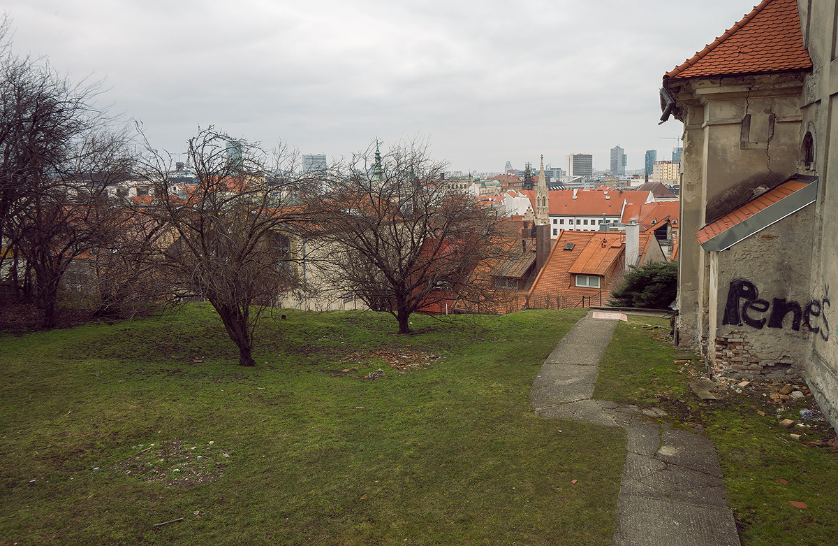 DSC04951.jpg