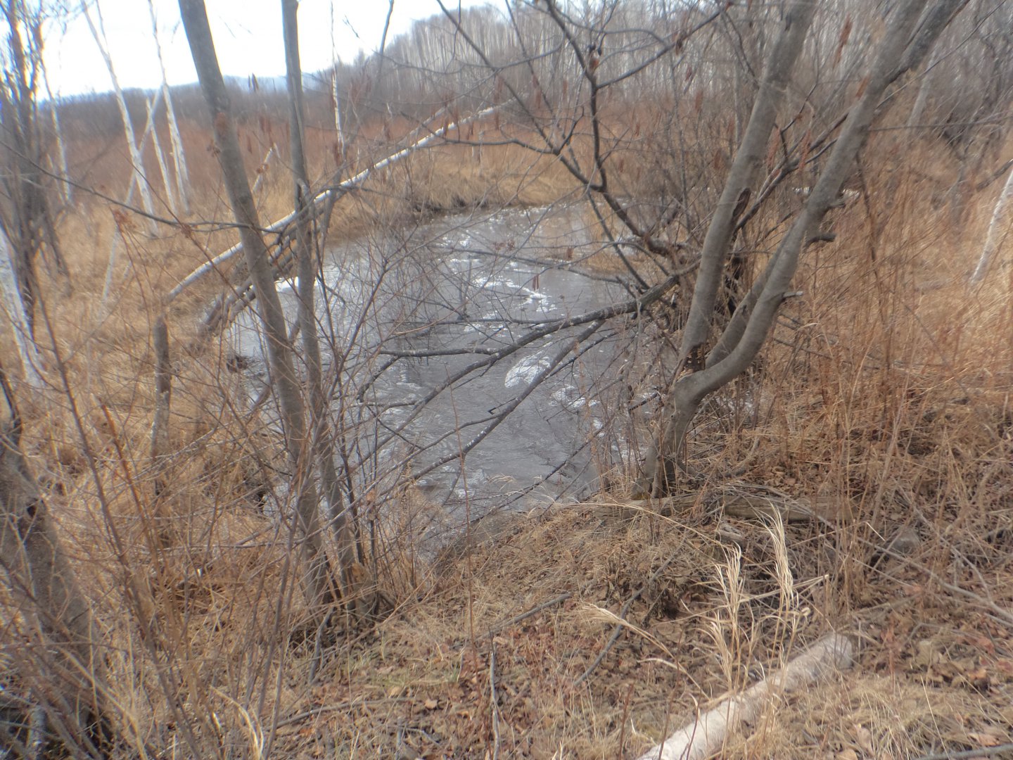 DSC05083.JPG