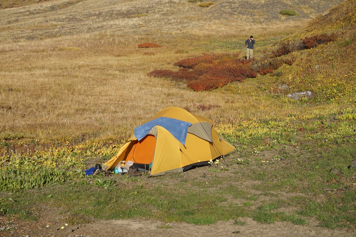 DSC05098.jpg