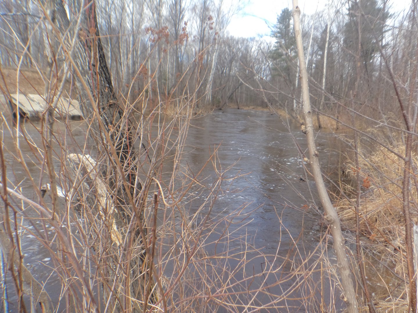 DSC05111.JPG