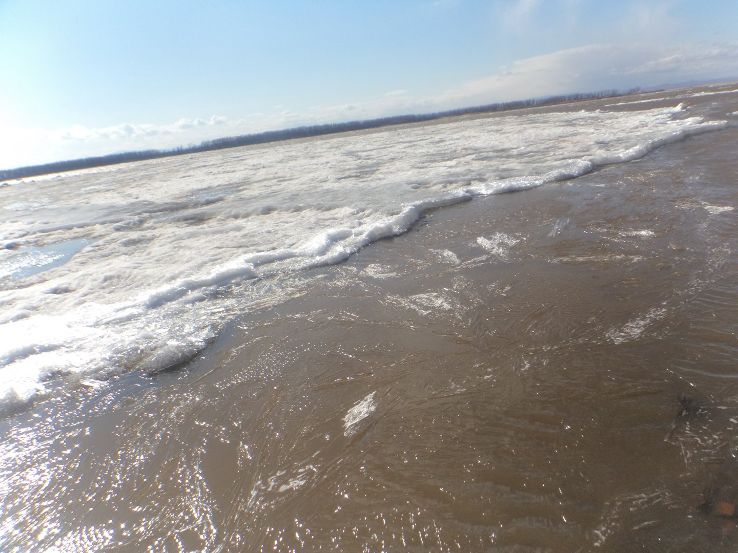 DSC05159.JPG