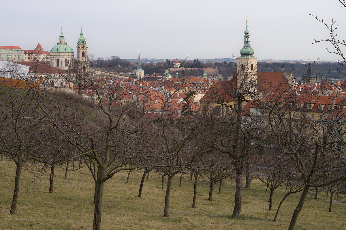 DSC05213.jpg