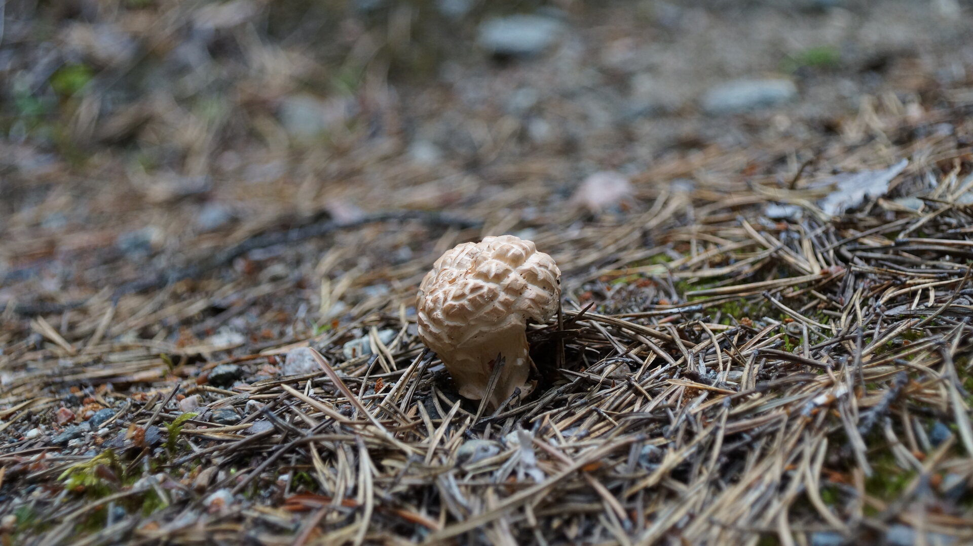 DSC05254.JPG