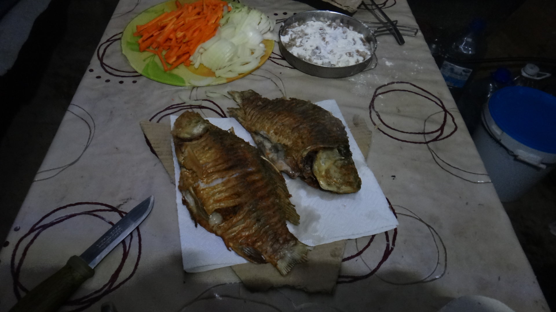 DSC05332.JPG