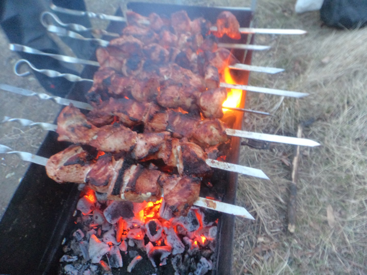 DSC05348.JPG