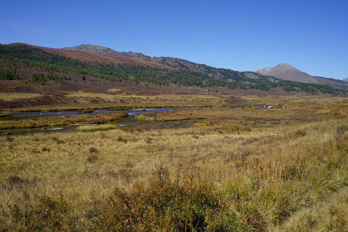 DSC05363.jpg