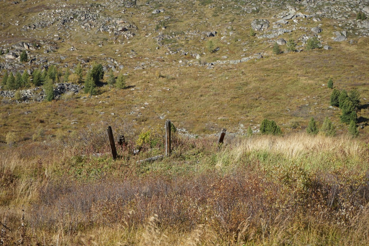 DSC05387.jpg