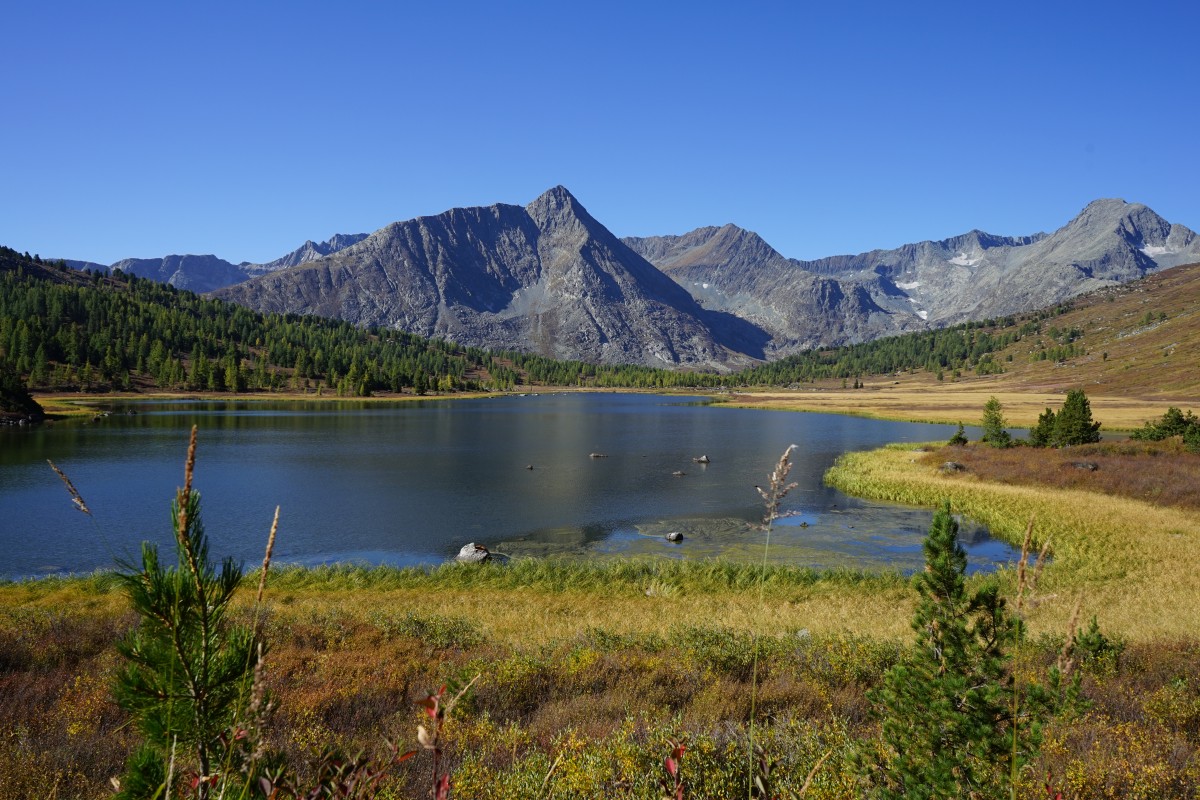 DSC05414.jpg