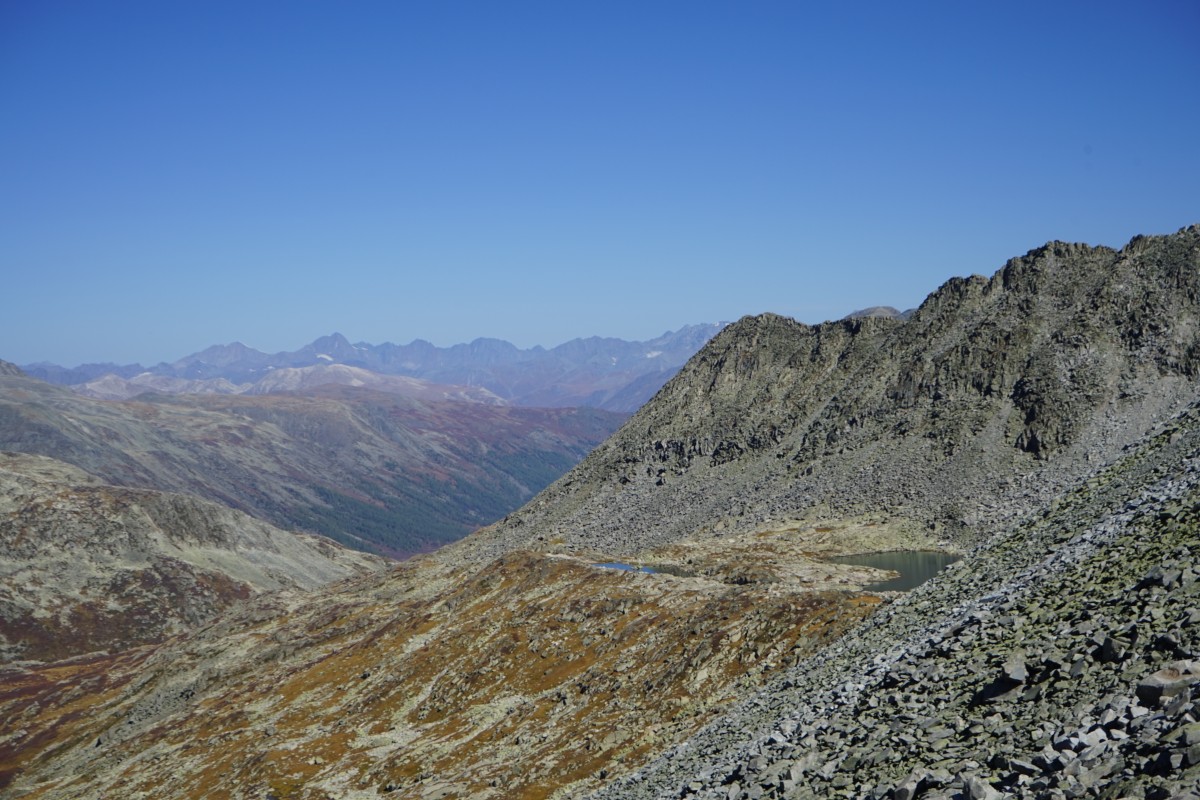 DSC05455.jpg