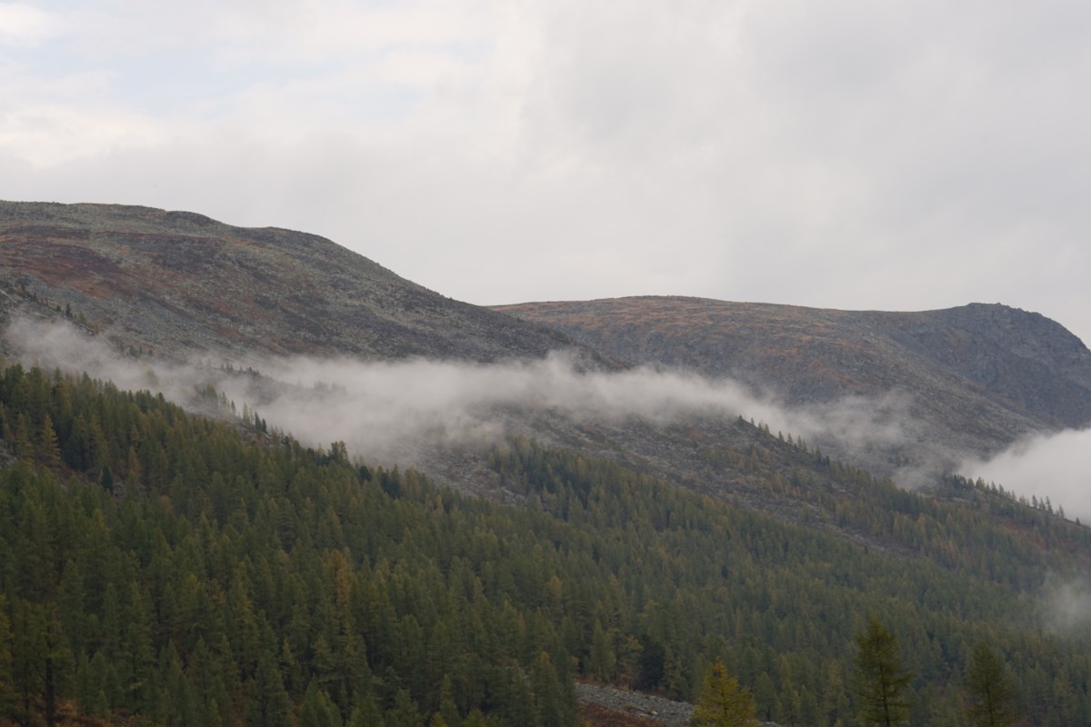 DSC05484.jpg