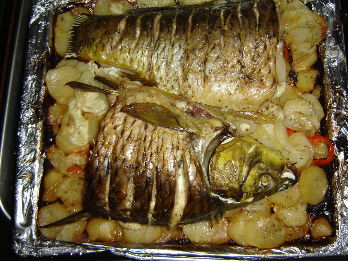 DSC05495.JPG