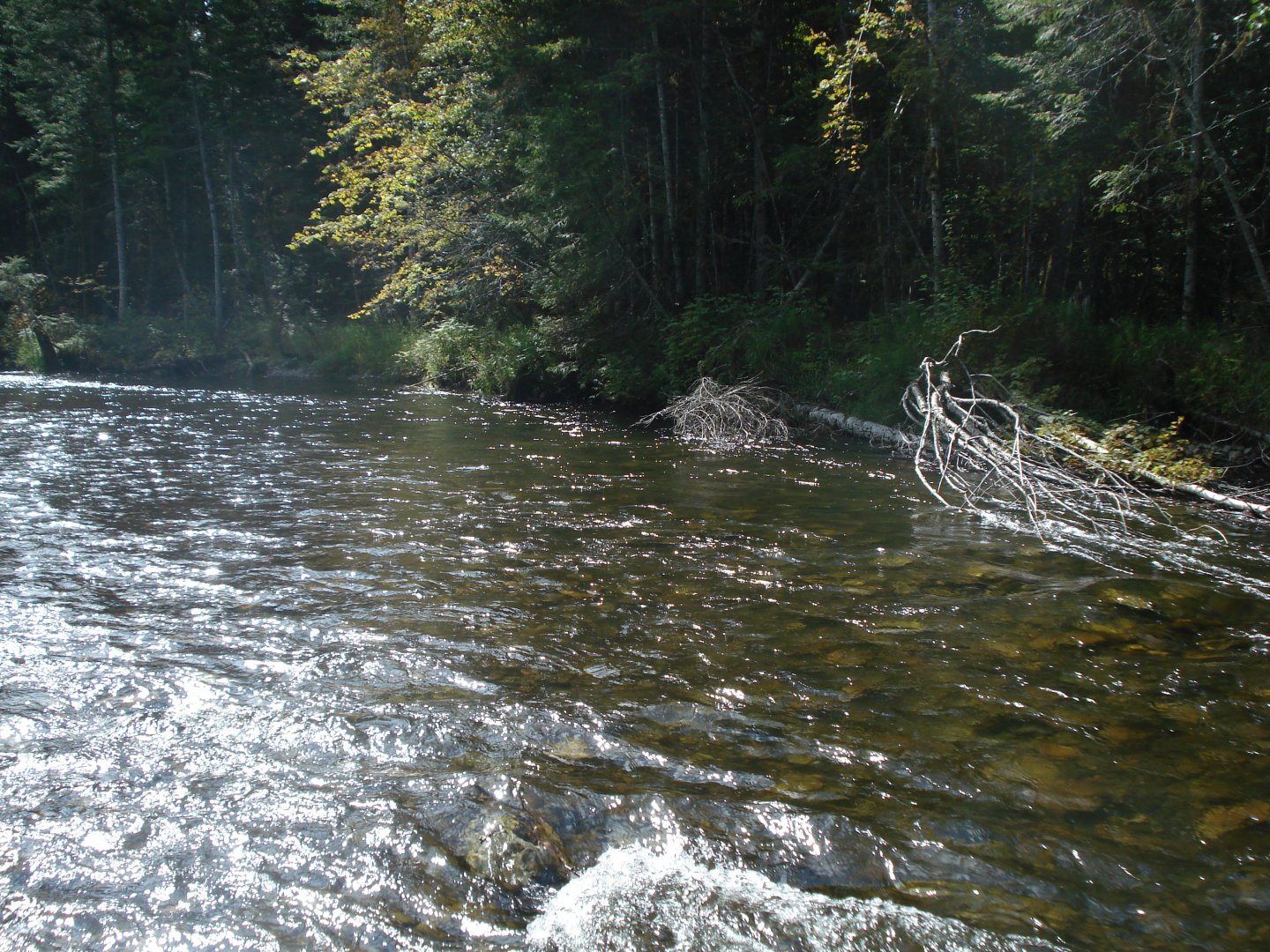 DSC05646.JPG