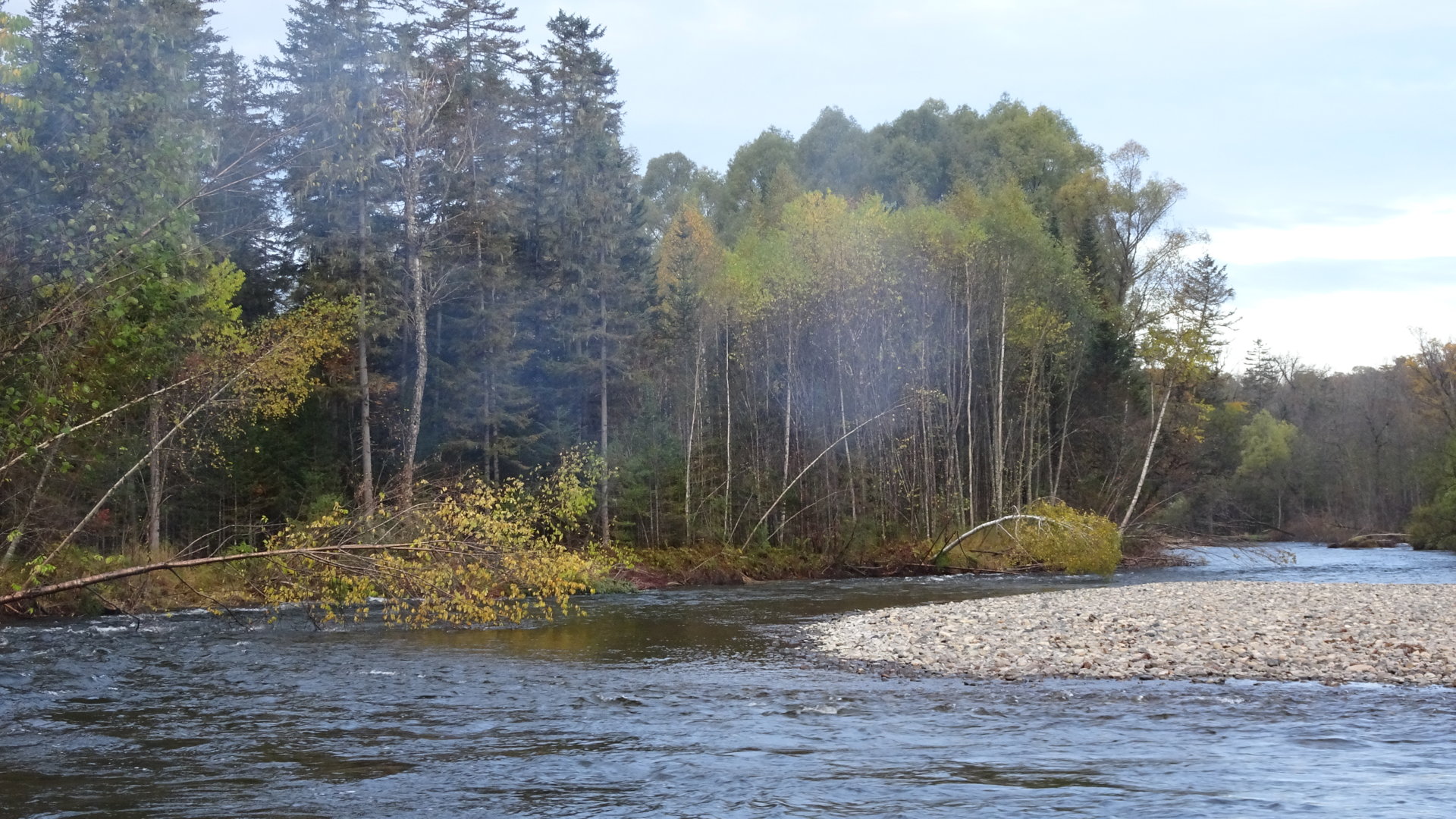 DSC05676.JPG